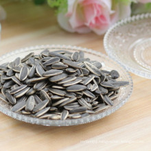 export sunflower seeds